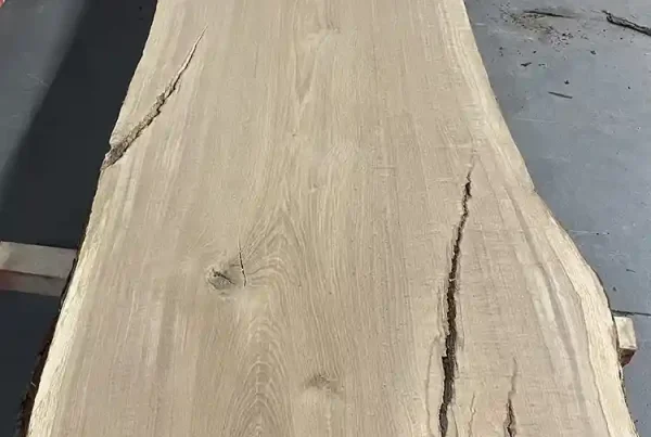 live edge white oak slab 202 - full slab view