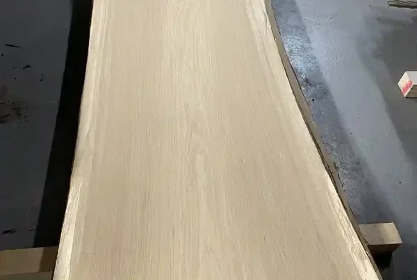 live edge white oak slab 201 - full slab view