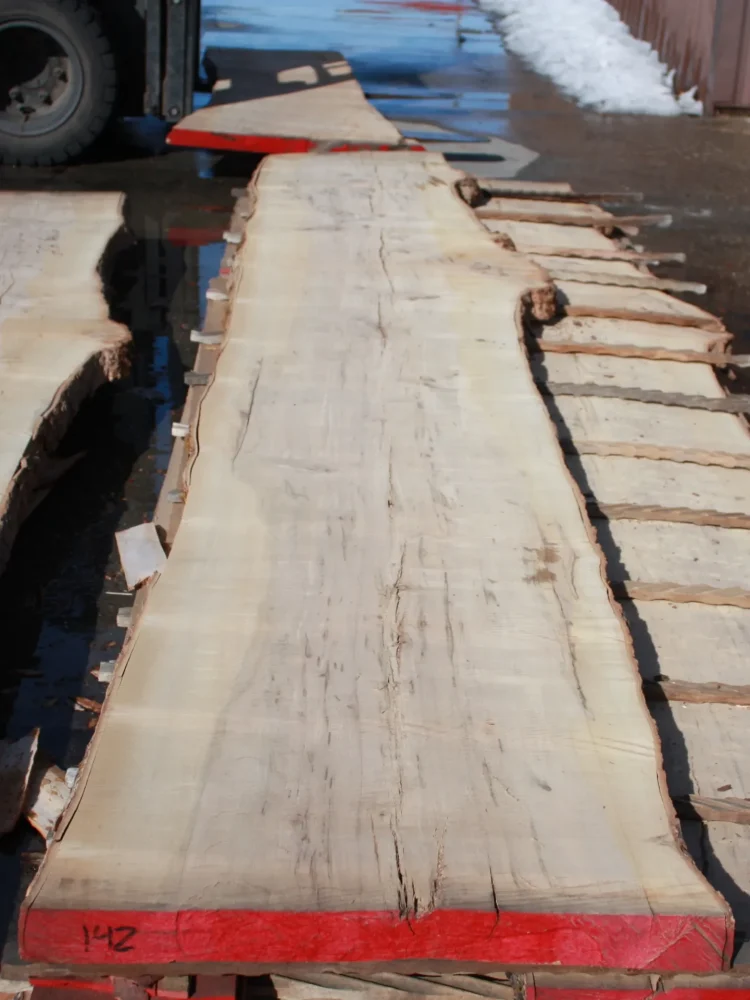 hard-maple-slab-142-full live edge hard maple slab 142 - full slab view