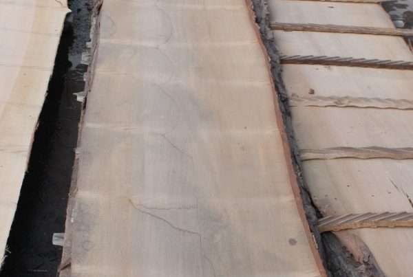 live edge soft maple slab 157 - full slab view