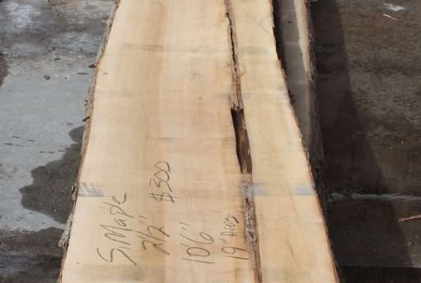 live edge soft maple slab 162 - full slab view