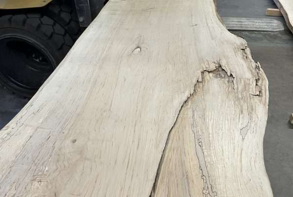live edge soft maple slab 147 - full slab view