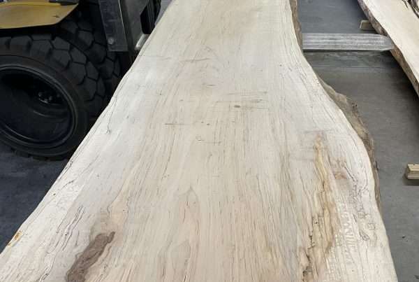 live edge soft maple slab 148 - full slab view