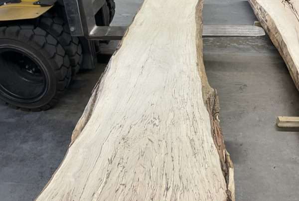 live edge soft maple slab 150 - full slab view