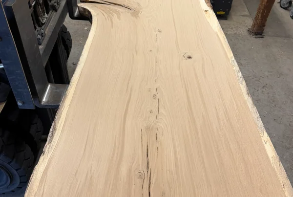 live edge white oak slab 351 - full slab view