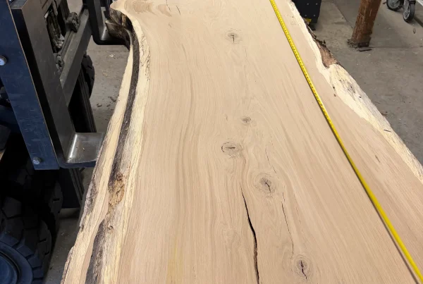 live edge white oak slab 356 - full slab view