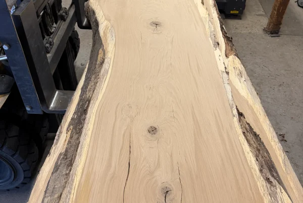live edge white oak slab 352 - full slab view