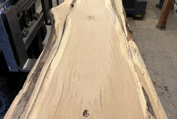 live edge white oak slab 353 - full slab view