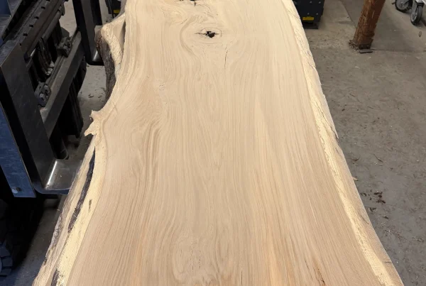 live edge white oak slab 354 - full slab view