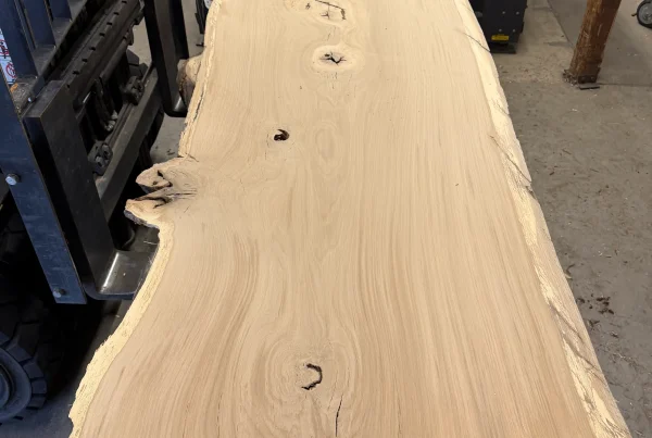 live edge white oak slab 355 - full slab view